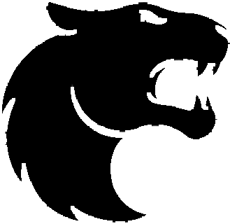 FURIA logo