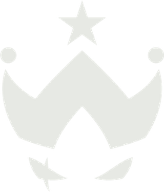 Wildcard logo